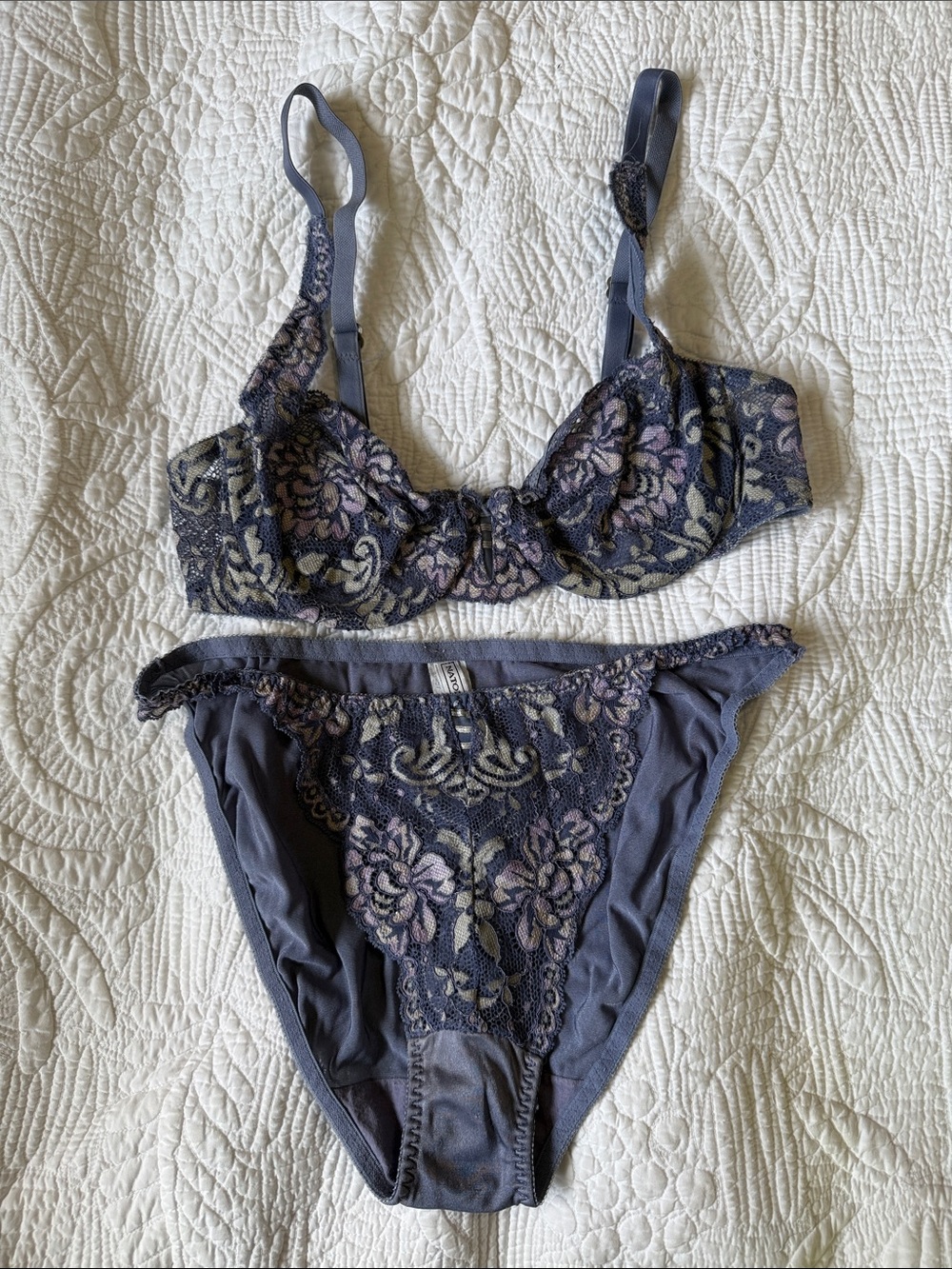 Natori Blue Purple Lace Bra & Panty Set